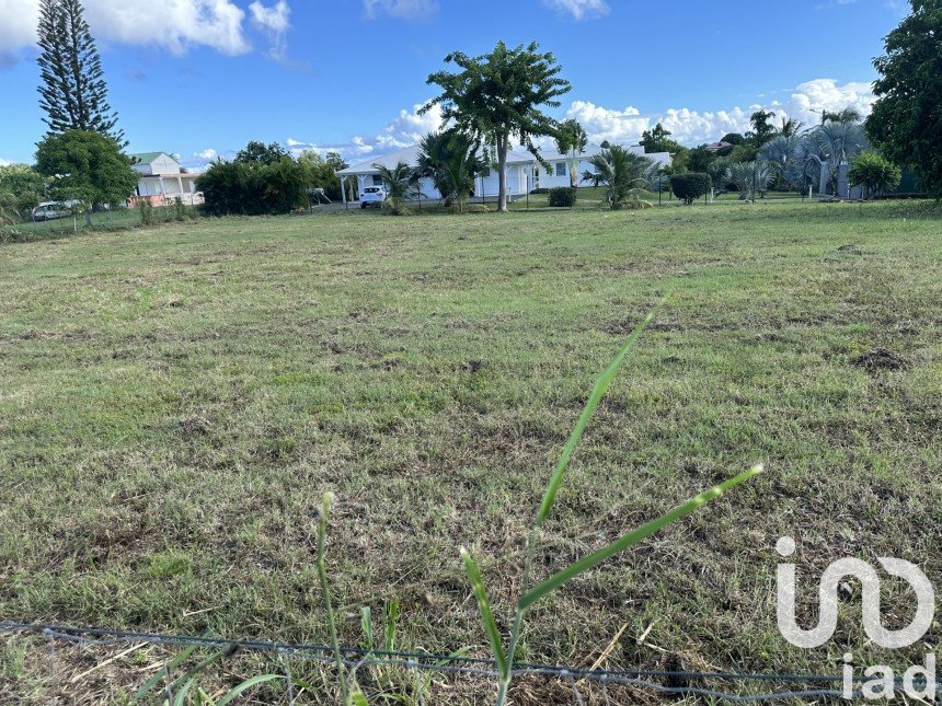 Terrain de 1 080 m² à Saint-François (97118)