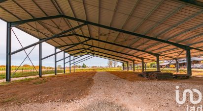 Equestrian facility 8 rooms of 254 m² in Grignols (33690)