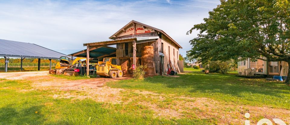 Equestrian facility 8 rooms of 254 m² in Grignols (33690)