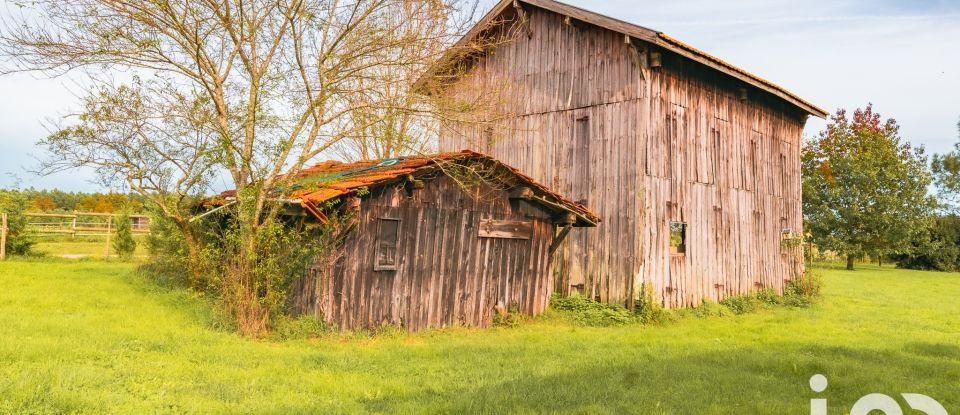 Equestrian facility 8 rooms of 254 m² in Grignols (33690)