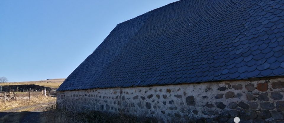 Barn conversion 2 rooms of 280 m² in Saint-Bonnet-de-Salers (15140)