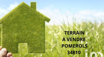 Terrain de 300 m² à Pomérols (34810)