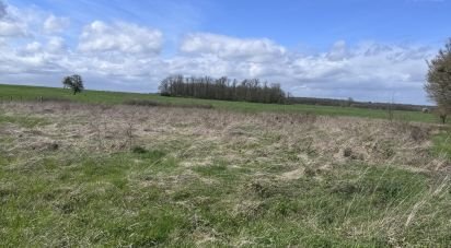 Land of 7,029 m² in Vernonvilliers (10200)