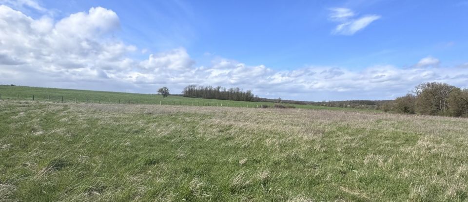 Land of 7,029 m² in Vernonvilliers (10200)