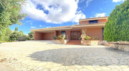 Maison 6 pièces de 303 m² à Rivesaltes (66600)