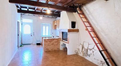 Maison 3 pièces de 53 m² à Villemolaque (66300)