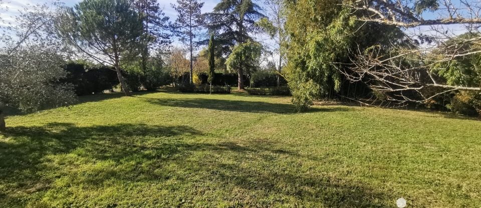 Maison traditionnelle 6 pièces de 196 m² à Gaillac (81600)