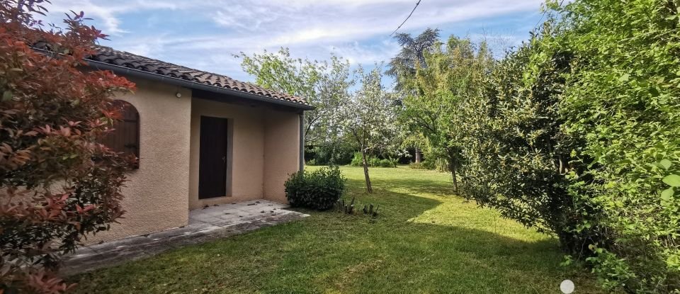 Maison traditionnelle 6 pièces de 196 m² à Gaillac (81600)