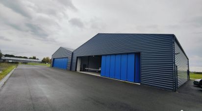 Local d'activités de 800 m² à Sorigny (37250)