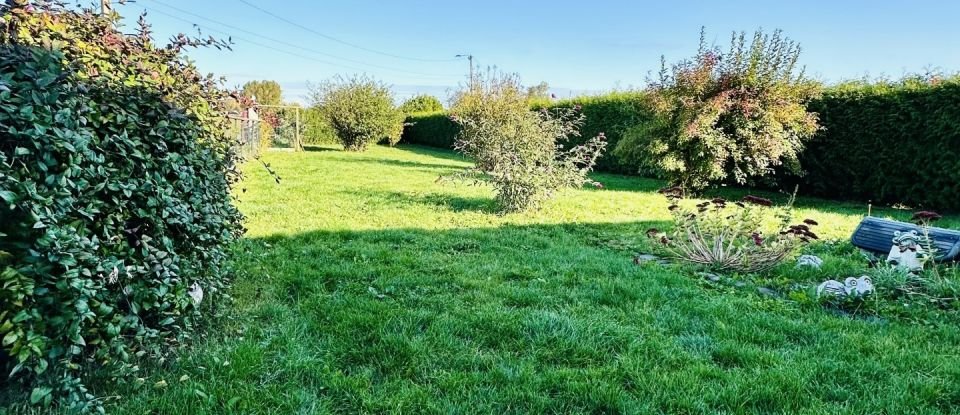 Maison traditionnelle 5 pièces de 100 m² à Saint-Venant (62350)