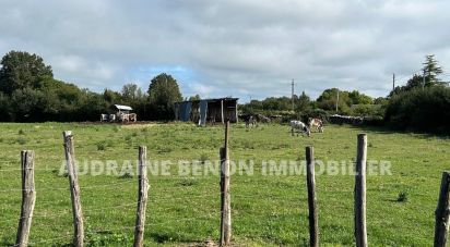 Country house 3 rooms of 78 m² in Montigné-lès-Rairies (49430)