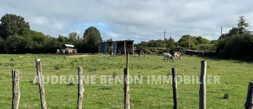 Maison de campagne 3 pièces de 78 m² à Montigné-lès-Rairies (49430)