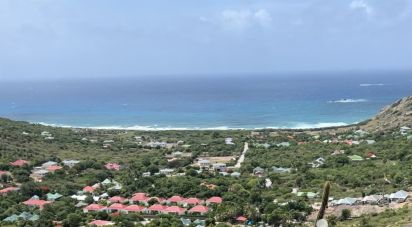 Terrain de 3 485 m² à Saint-Barthélemy (97133)