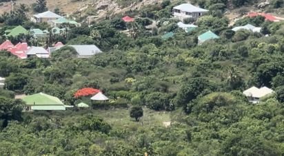 Terrain de 3 485 m² à Saint-Barthélemy (97133)