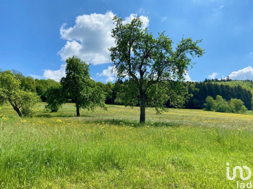 Terrain de 1 982 m² à Bendorf (68480)