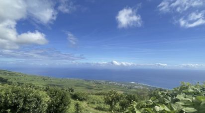 Terrain de 550 m² à Saint-Leu (97416)