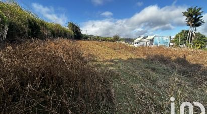 Terrain de 1 100 m² à Petite-Île (97429)