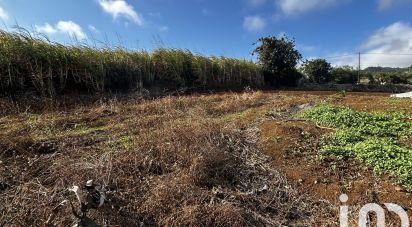 Terrain de 1 100 m² à Petite-Île (97429)