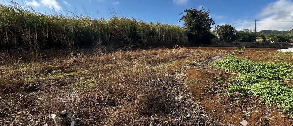 Terrain de 1 100 m² à Petite-Île (97429)