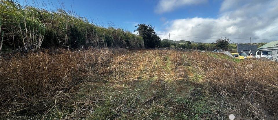 Terrain de 1 100 m² à Petite-Île (97429)