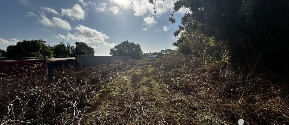 Terrain de 1 100 m² à Petite-Île (97429)