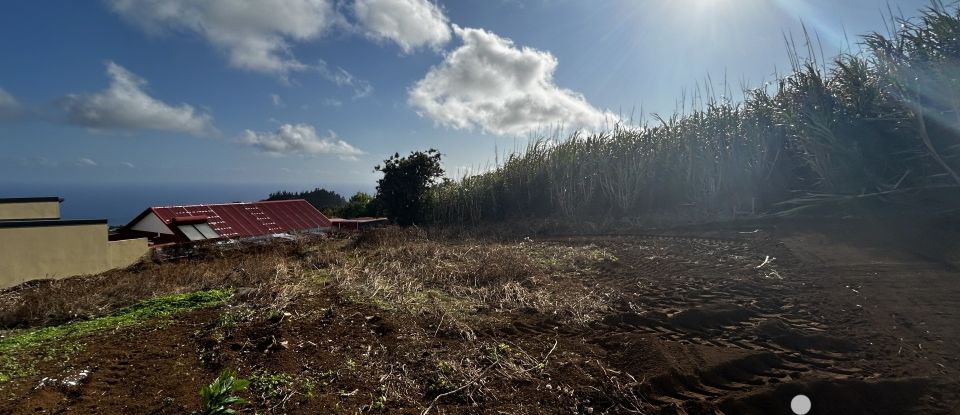 Terrain de 1 100 m² à Petite-Île (97429)