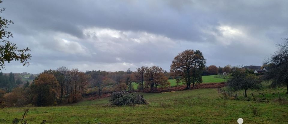 Land of 1,302 m² in Corrèze (19800)