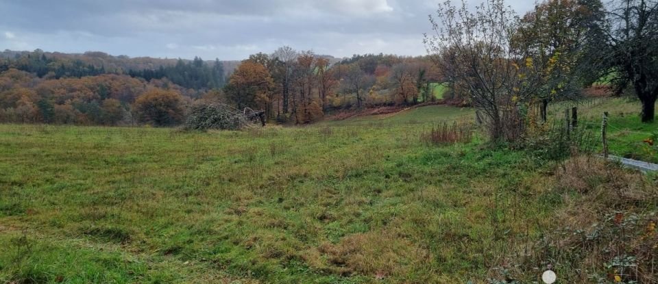 Land of 1,302 m² in Corrèze (19800)