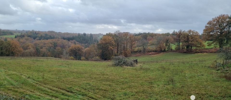 Terrain de 1 301 m² à Corrèze (19800)