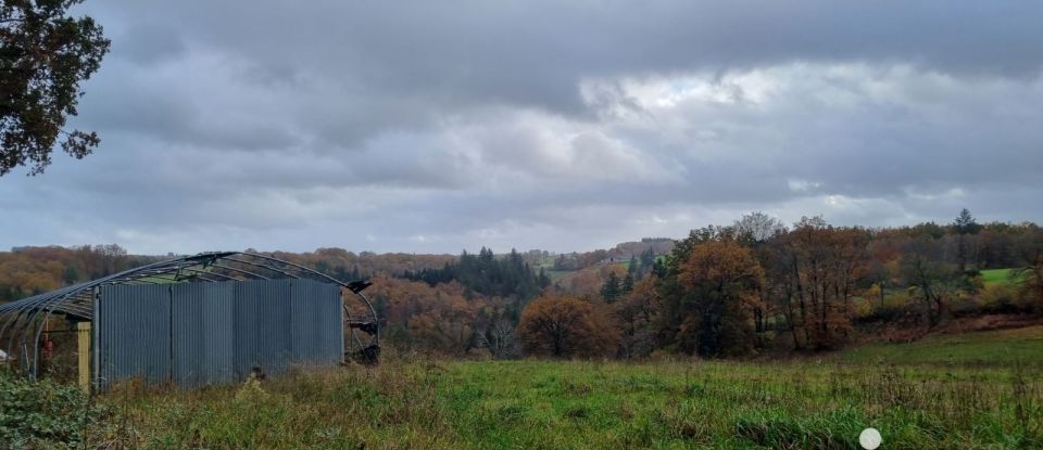 Terrain de 1 301 m² à Corrèze (19800)