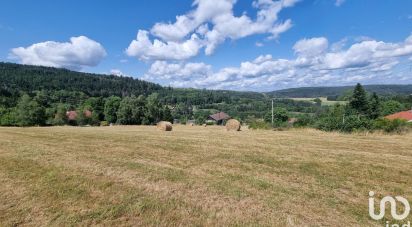 Terrain de 3 591 m² à Anould (88650)