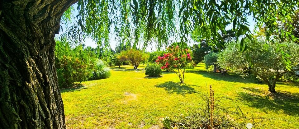 Maison traditionnelle 5 pièces de 128 m² à Monteux (84170)