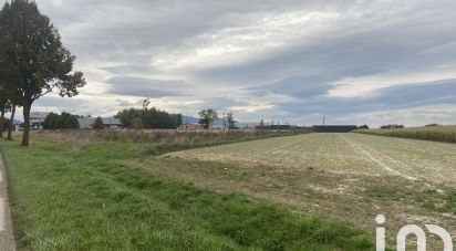 Terrain de 6 200 m² à Burnhaupt-le-Bas (68520)