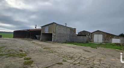 Murs commerciaux de 3 500 m² à Essarts en Bocage (85140)