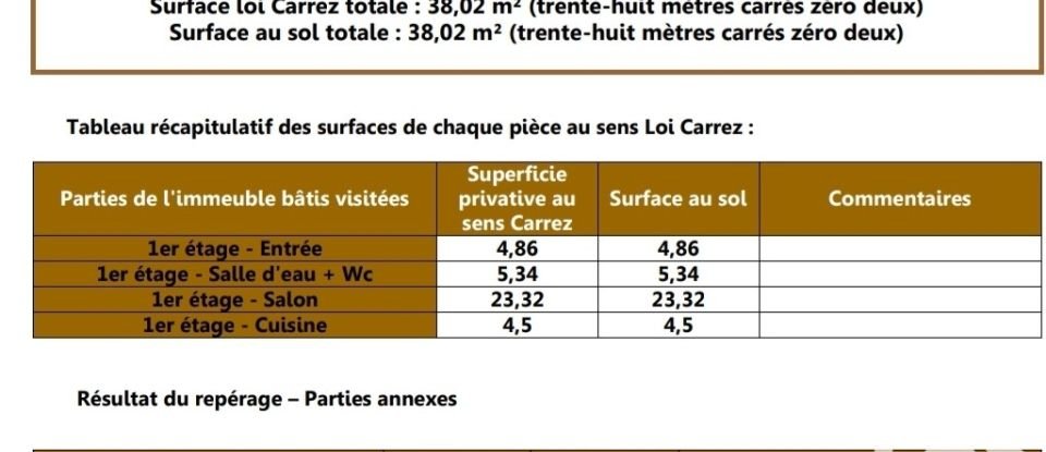 Studio 1 room of 38 m² in Lyon (69008)