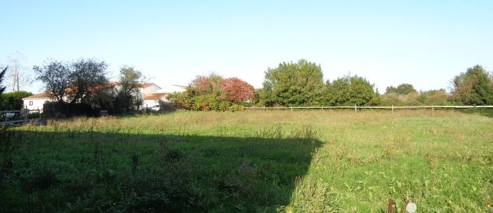 Land of 5,708 m² in Cozes (17120)