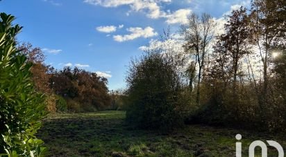 Terrain Loisirs de 13 056 m² à Neuvy-sur-Barangeon (18330)