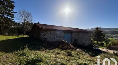 Ferme 10 pièces de 209 m² à Saint-Nizier-de-Fornas (42380)