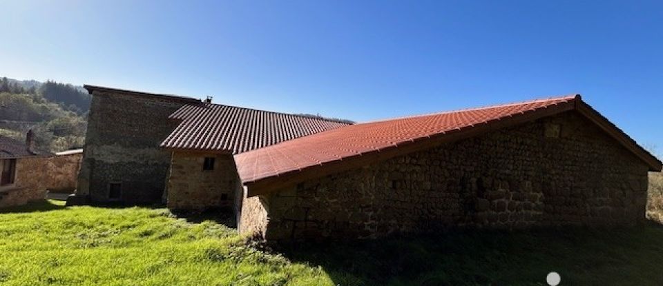 Ferme 10 pièces de 209 m² à Saint-Nizier-de-Fornas (42380)