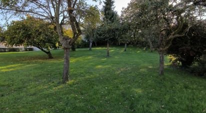 Terrain de 599 m² à Nantouillet (77230)