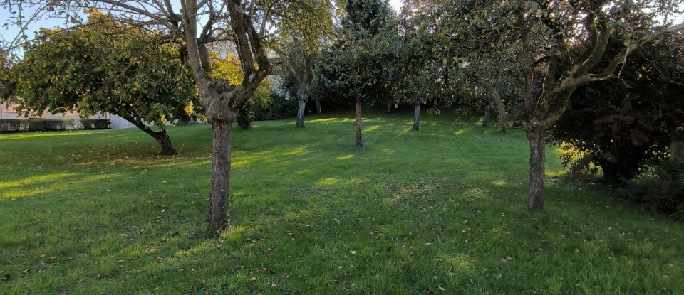 Land of 599 m² in Nantouillet (77230)