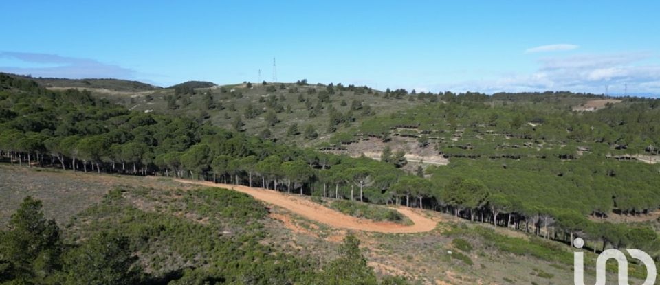 Maison 5 pièces de 138 m² à Narbonne (11100)