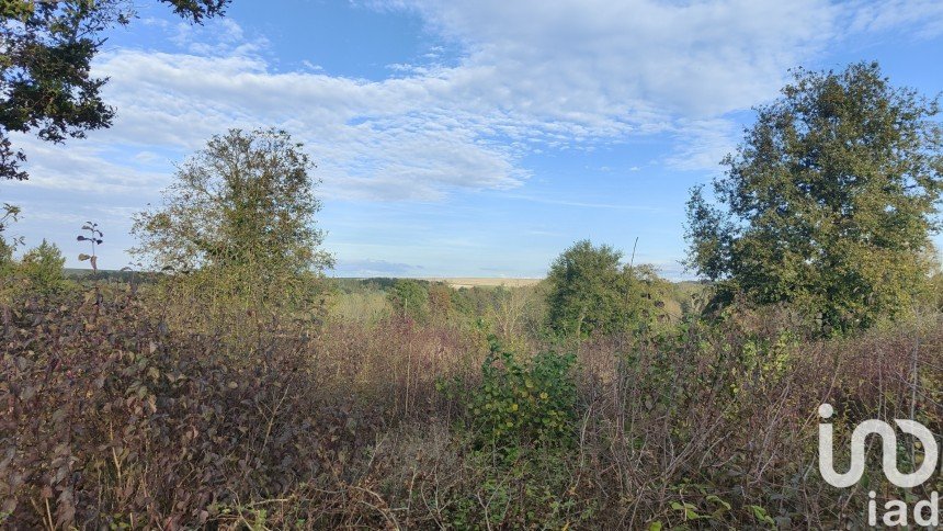 Land of 4,950 m² in Saint-Maurice-Thizouaille (89110)