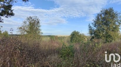 Land of 4,950 m² in Saint-Maurice-Thizouaille (89110)