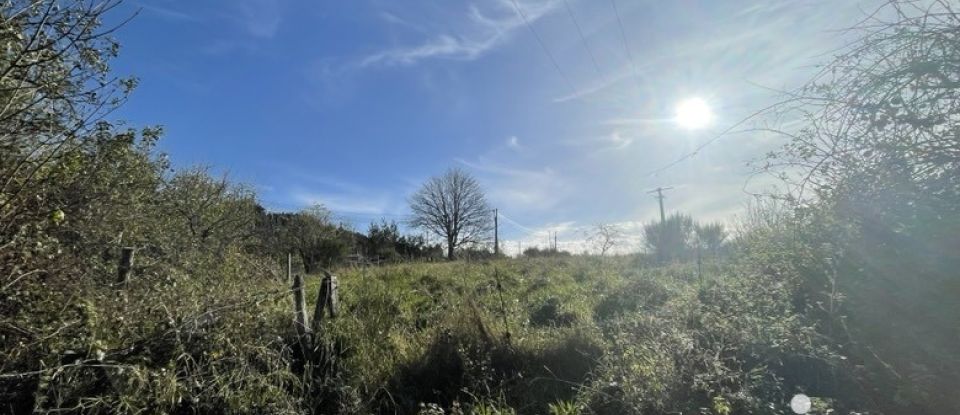 Agricultural land of 5,730 m² in Ranchal (69470)