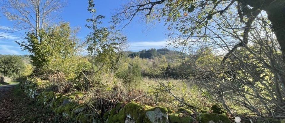 Agricultural land of 5,730 m² in Ranchal (69470)