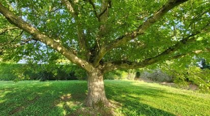 Longère 7 pièces de 220 m² à Baron (60300)