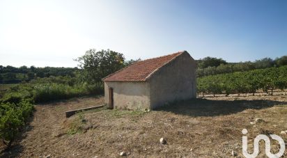 Terrain agricole de 7 360 m² à Saint-Maurice-sur-Eygues (26110)