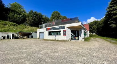 Retail property of 254 m² in Fréland (68240)