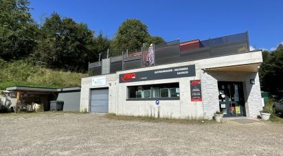 Retail property of 254 m² in Fréland (68240)